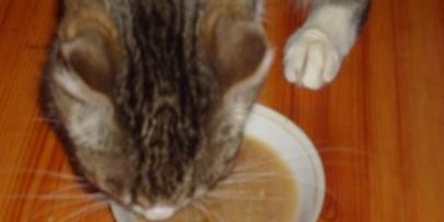 пирог с горбушей