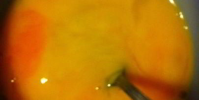 брауни с темным пивом и малиной