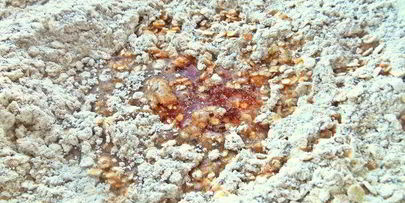 овсяные пирожные с шоколадной прослойкой