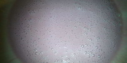 пирожное мое любимое