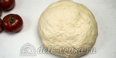 пицца фунги