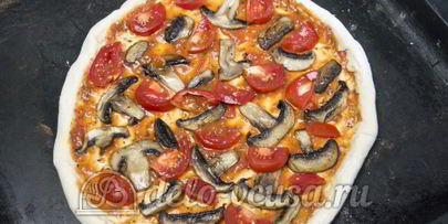 пицца фунги