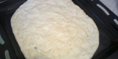 пицца с грибами и с гусиным фаршем