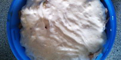 шарлотка домашняя