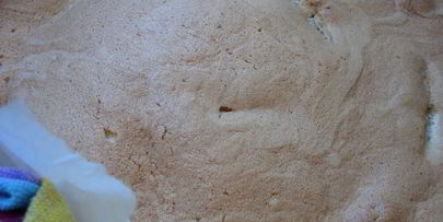 шарлотка непростая