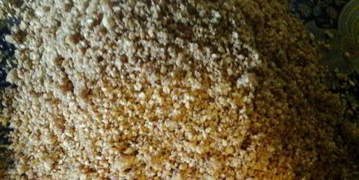 сигары с орешками и пахлава