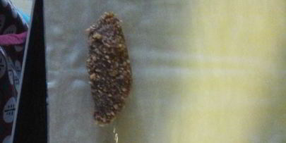 сигары с орешками и пахлава