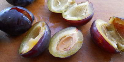 творожные сырники с тыквой и сливами