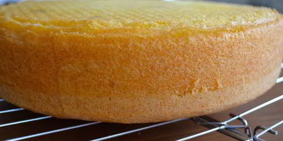 бисквит маргарита