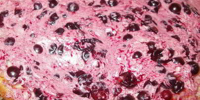 бисквитный торт с орехово-смородиновой ноткой