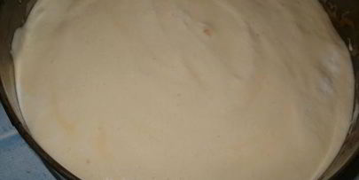 бисквитный торт с орехово-смородиновой ноткой