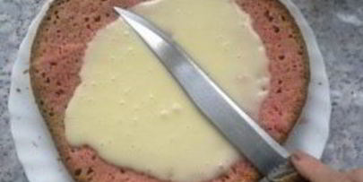 торт подружка