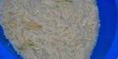 лапшевник с мясом