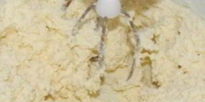 творожная запеканка с манкой