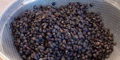 запеканка-обманка с двумя видами чечевицы