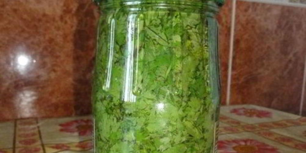 Рецепт кинза на зиму