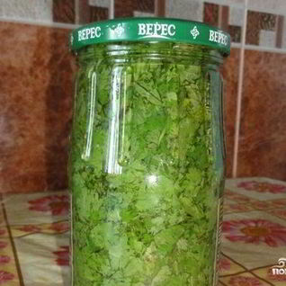 Кинза на зиму