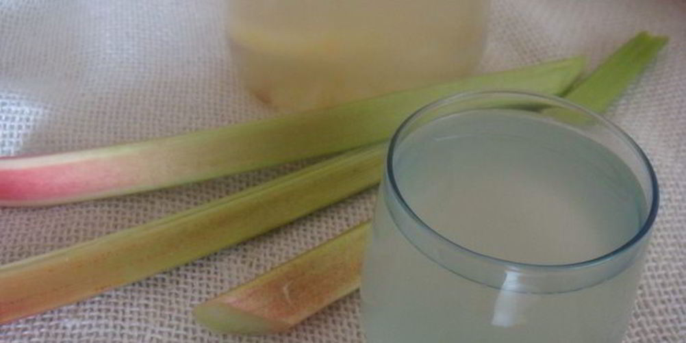 Рецепт компот из ревеня