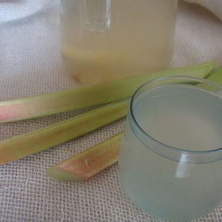 Компот из ревеня