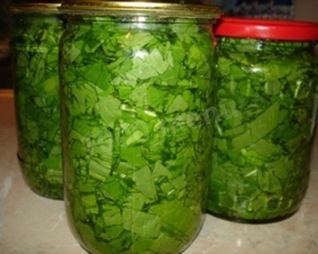 Консервированный щавель на зиму