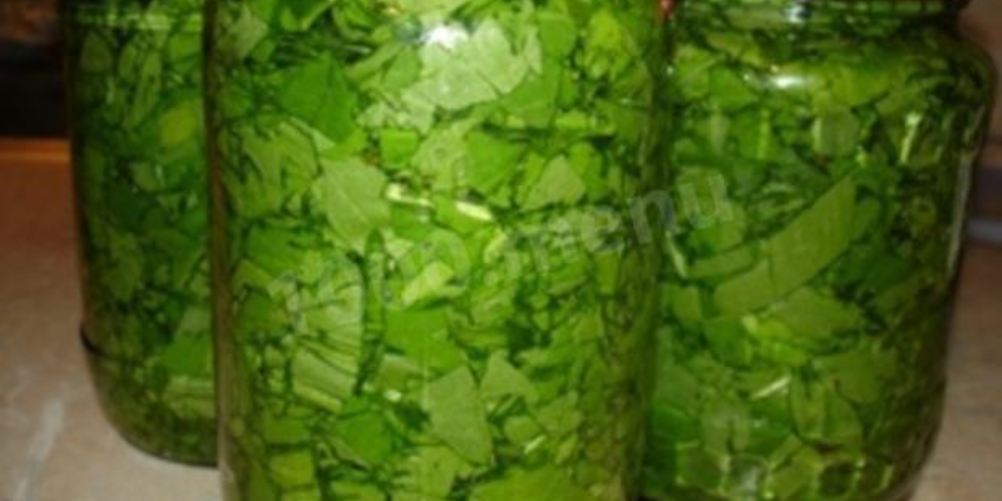 Рецепт консервированного щавеля ны зиму