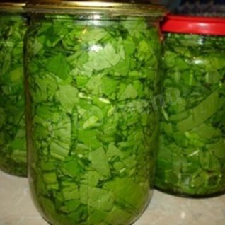 Консервированный щавель на зиму