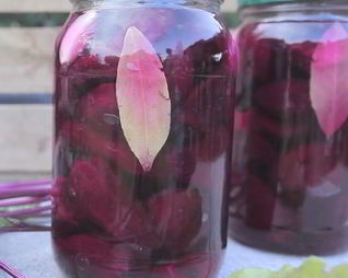 Квашеная свекла