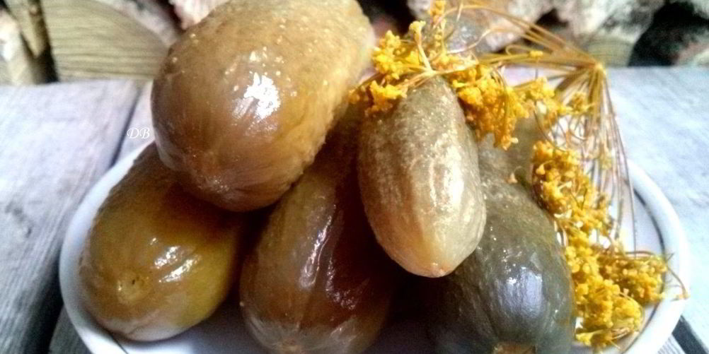 Рецепт квашеные огурцы без закатки