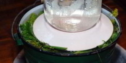 квашеные огурцы