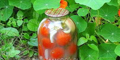 квашеные помидоры в банках