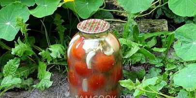 квашеные помидоры в банках