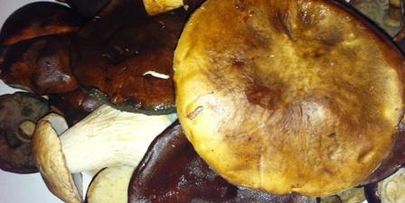 белые грибы маринованные