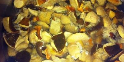 белые грибы маринованные