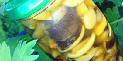 белые грибы маринованные