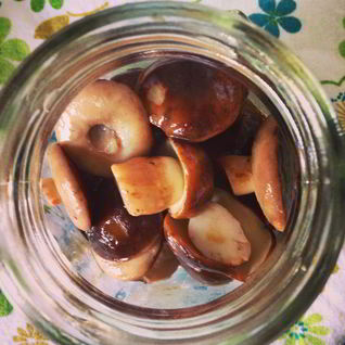 Грибочки маринованные вкусные