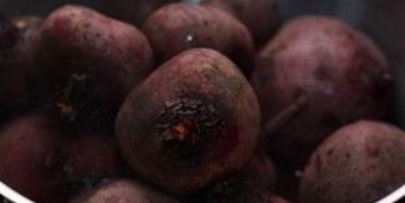 маринованная свекла