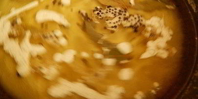 маринованный сладкий перец