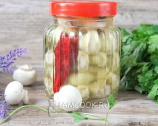 Маринованные белые шампиньоны