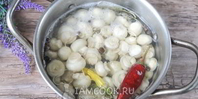 маринованные белые шампиньоны
