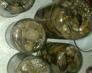 Маринованные грибочки