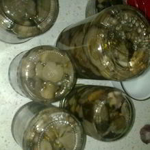 Рецепт Маринованные грибочки