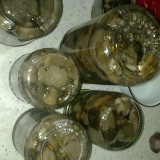 Маринованные грибочки