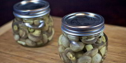 маринованные грибы