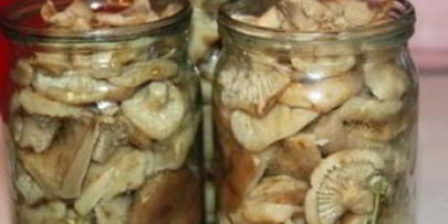 маринованные грузди с чесноком