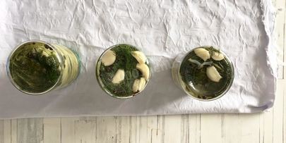 маринованные кабачки пальчики оближешь