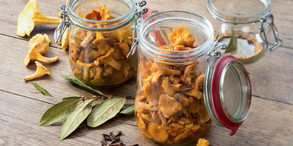 Рецепт маринованные лисички