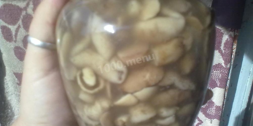 Рецепт маринованные маслята в банках