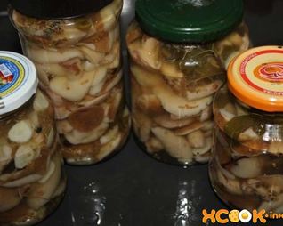 Маринованные маслята
