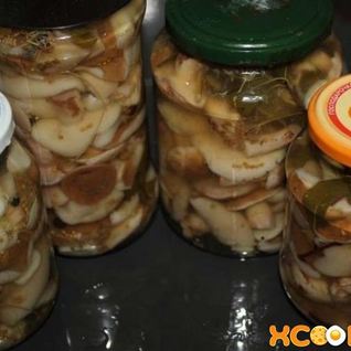 Маринованные маслята