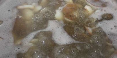 маринованные маслята